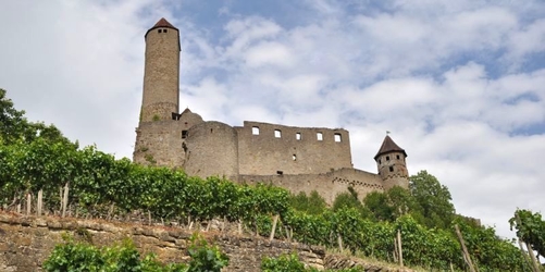 Burg Hornberg umgeben von Weinbergen